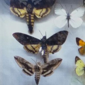 Cover: wer bist du wenn keiner schaut??